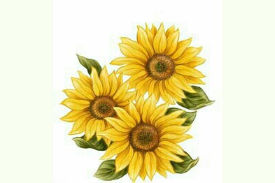 �㲻��֪�����տ�������