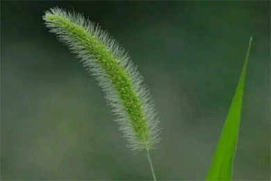 ��������˼�����