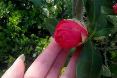 唯你是念与你相伴