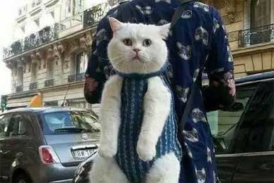 ��ʱ���ճɹ�