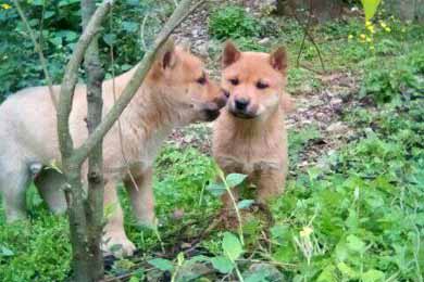 ���ϡ������¡�