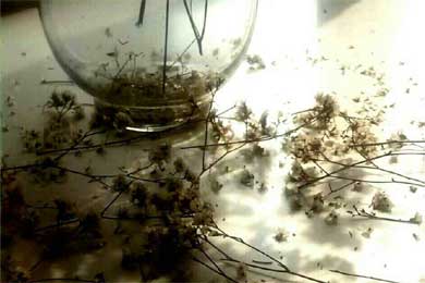 ���ۿ����ĺ����ĸ��ܵ����ǲ�һ��