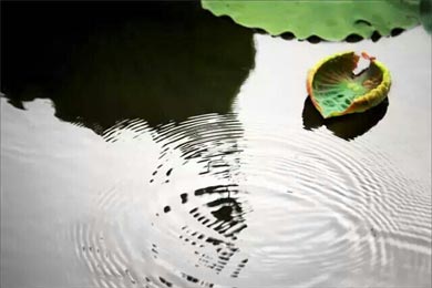 那些给你制造问题的人,都是来改造你的人