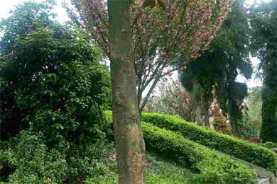 ������˾���