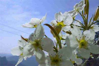 ��ʱ����ʰ��