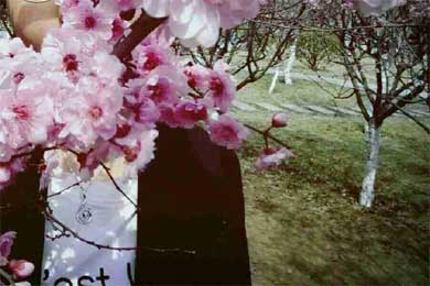 �����̻�����ĺ