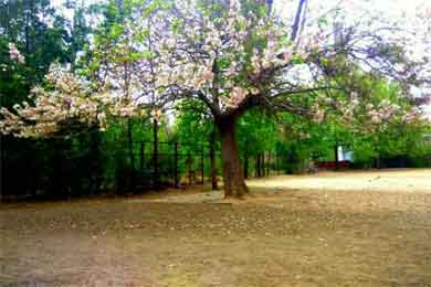 ����ݱ�һ�δ��