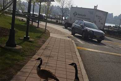 ����,������һ�����޵���