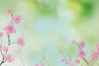 �˰�����