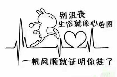 ����񻮹����