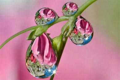 ����Ĵ���