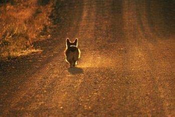 ���꣬���