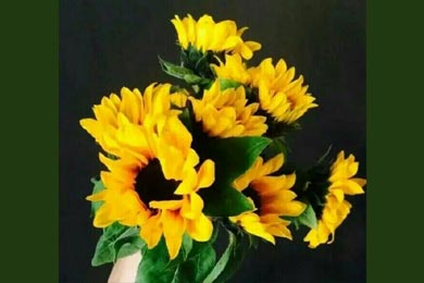 ������������