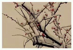 һ��÷�Ĺ���