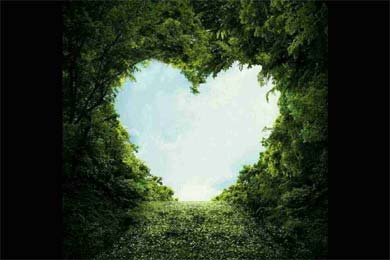 ������һ��������