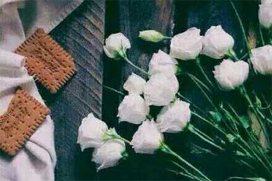 һ�׸� һ���� һ������