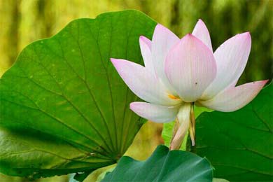 ������������ױ