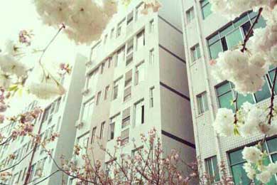 �ð�������������--�۾�桶���ഺ���и�