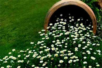 �����µ�����