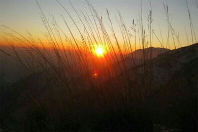 ��ɽ���ɣ������Ѹ�