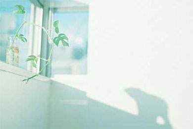 �紵����ɳ���ڼ��������