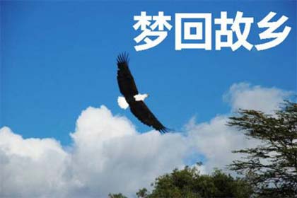 �λع��磨֮����