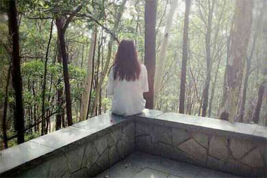 �����δ�������