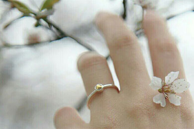 ����ݱ��