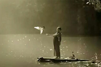 һ��̫�������