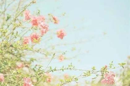 �ȵ�����˵ԭ��