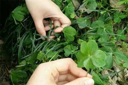 谁的微笑,温暖了你的流年?