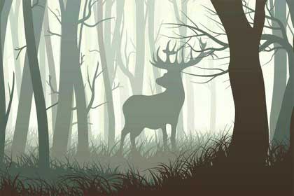 �����ı�ĸı�