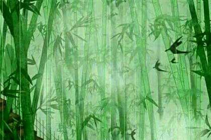 ��Ҷ����