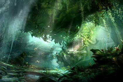 ��������