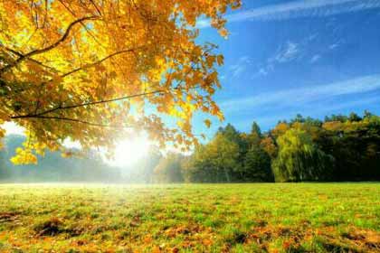 ˭˵��Ҷ��֪��