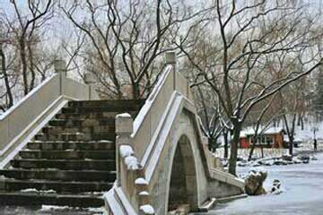 �߹�����