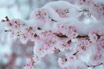 �ּ�ѩ��Ʈ��ʱ