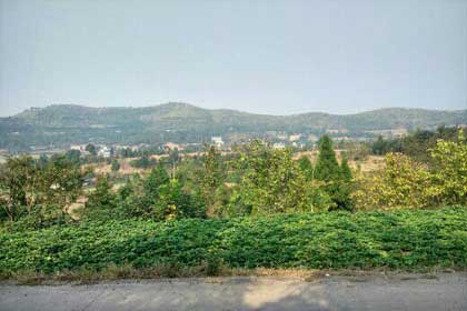 ��ʡ����Ρ�