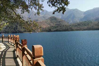 ���������߹�����ʮ�˸������ﶬ