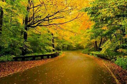 ��ʧ������