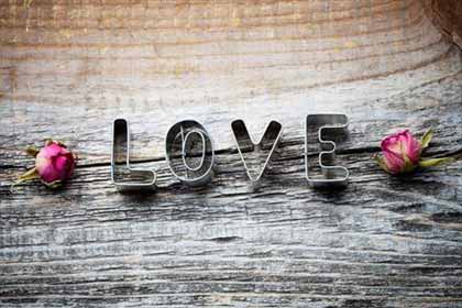 ��ļ磬��ů������������