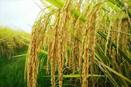 ����һ��