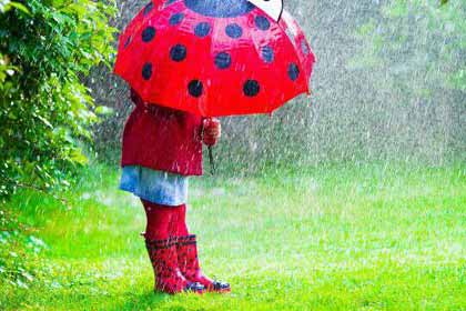 ���ǳ��꣬������������