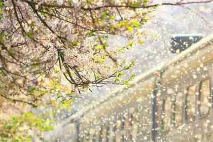 ������Ϊ �����Լ�