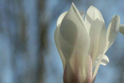 梦里重逢难相见