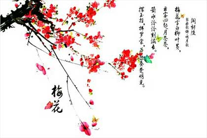 ѩҹ��������÷