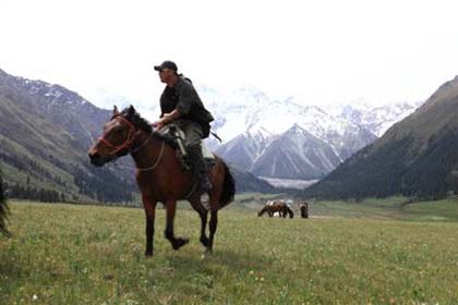 д�������