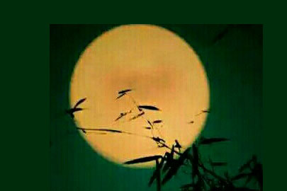 ��̾����