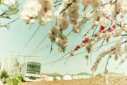 �����ڼ��ڵ��г���