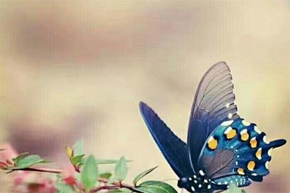 ������ˮ���������